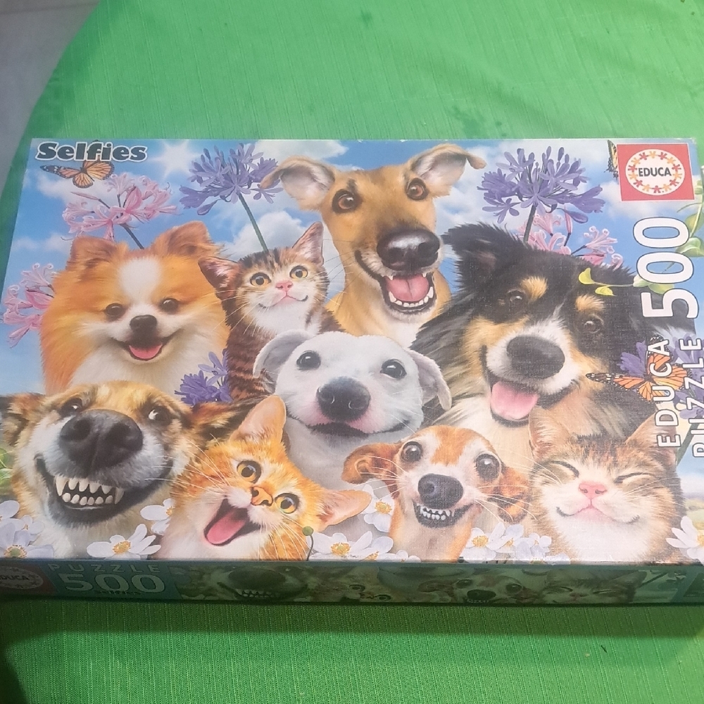 Selfies 500 Piece Puzzle - Multicolor